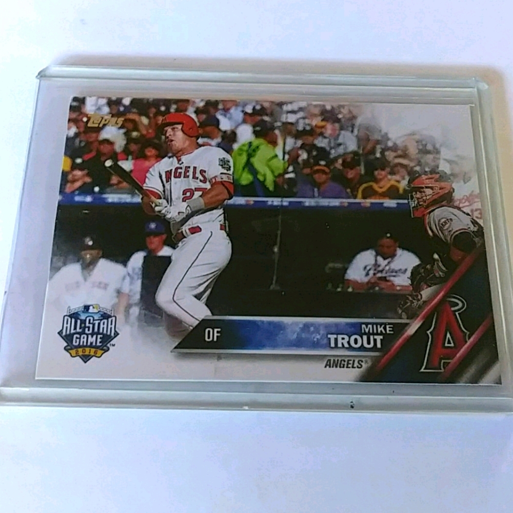 Trout